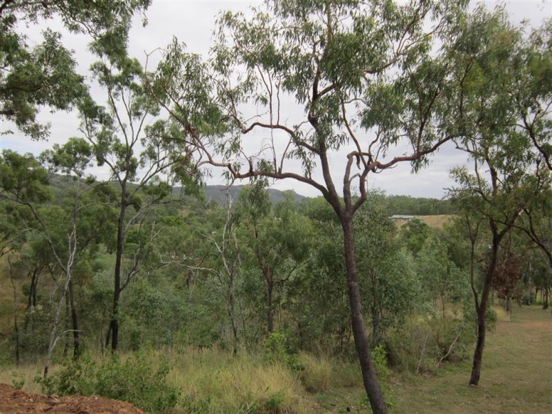 12 Whitely Street, Mount Morgan QLD 4714