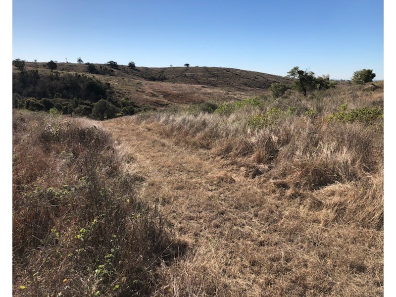Lot 1 STANWELL-WAROULA RD, Dalma QLD 4702