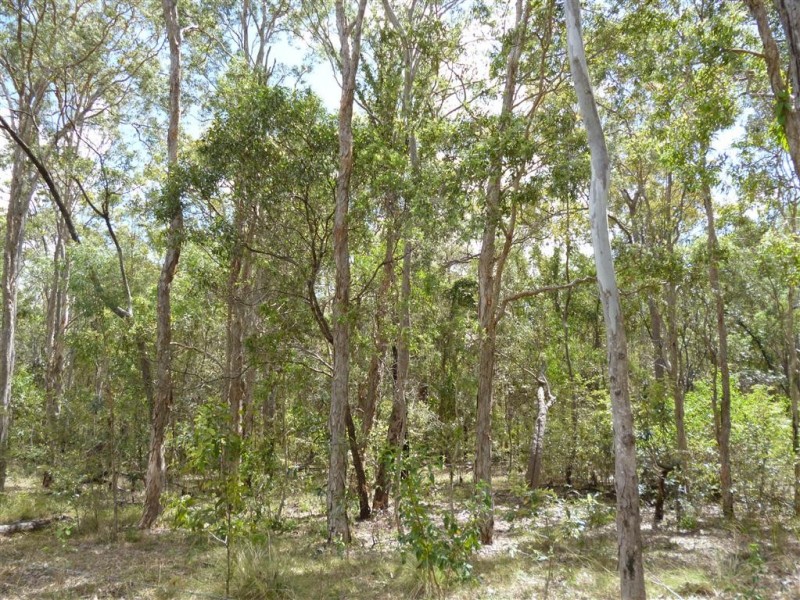 44639 Bruce Highway, Miriam Vale QLD 4677
