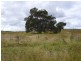 Lot 1 Stanwell Waroula Road, Stanwell QLD 4702
