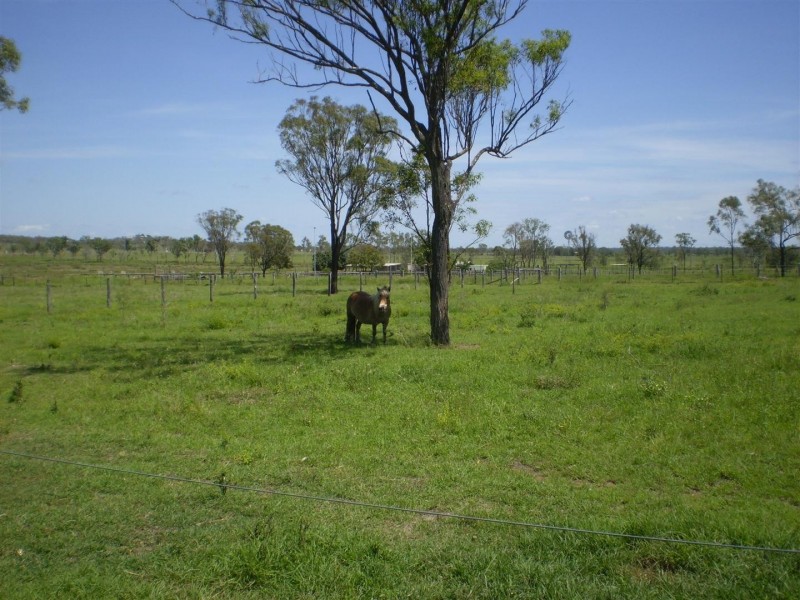 32 Rayner Road, Alton Downs QLD 4702