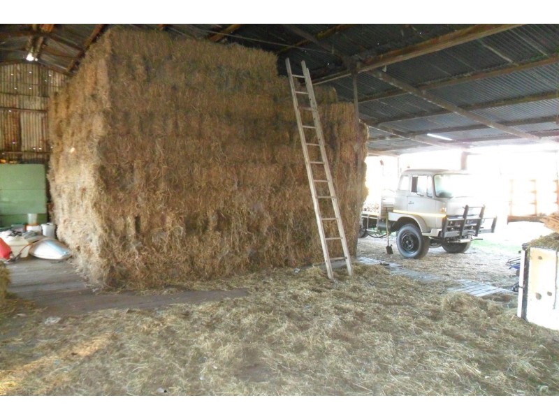 0 Kelly Road, Gracemere QLD 4702