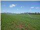 0 Kelly Road, Gracemere QLD 4702
