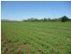 0 Kelly Road, Gracemere QLD 4702