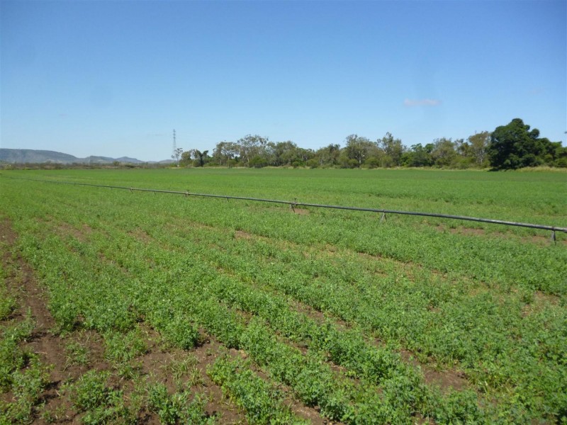 0 Kelly Road, Gracemere QLD 4702