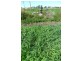 0 Kelly Road, Gracemere QLD 4702