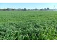 0 Kelly Road, Gracemere QLD 4702