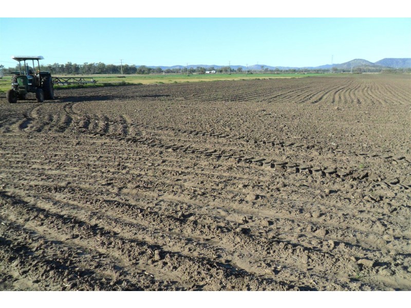 0 Kelly Road, Gracemere QLD 4702