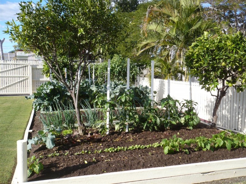 99 West Street, Allenstown QLD 4700