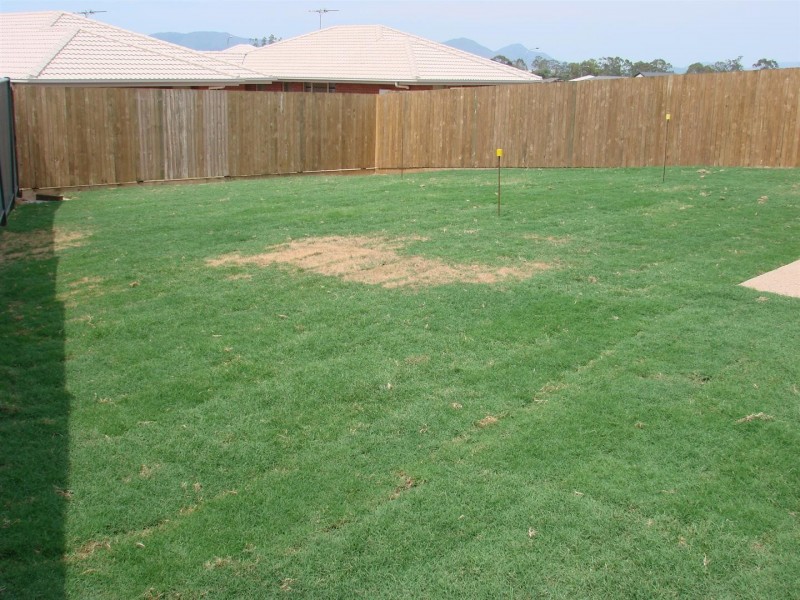 39 Jamie Crescent, Gracemere QLD 4702