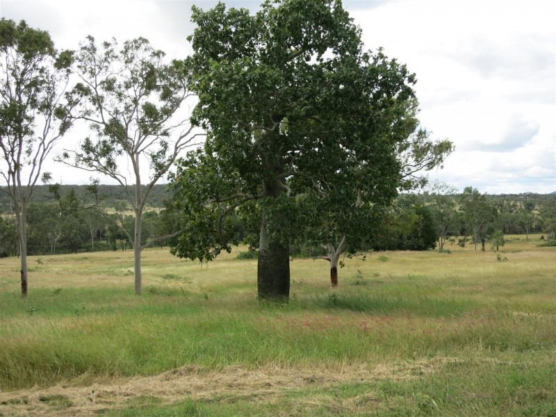 Lot 6 Benedict Road, Stanwell QLD 4702