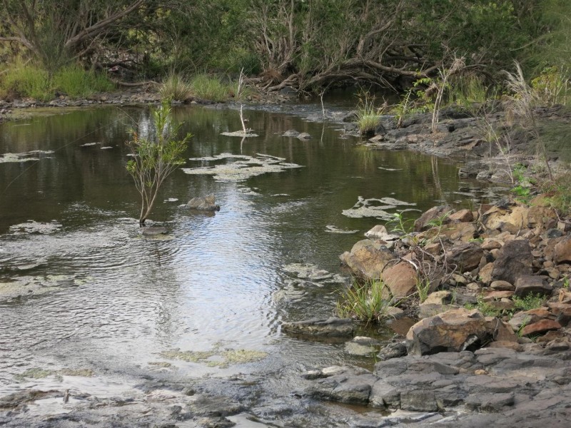 Lot 6 Benedict Road, Stanwell QLD 4702