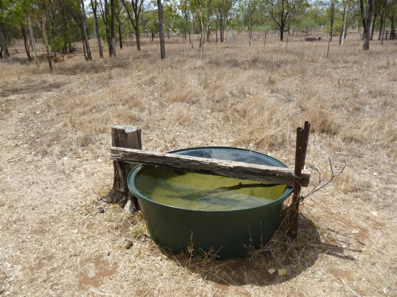 135 Stewart Street, Gracemere QLD 4702