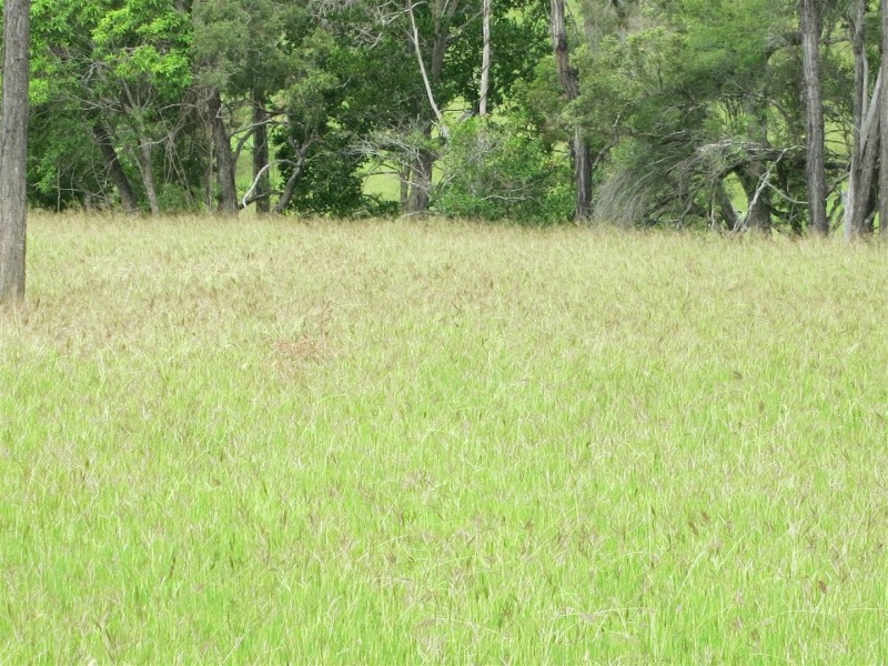 Lot 4 Stanwell-Waroula Road, Stanwell QLD 4702