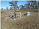 Lot 16 Nine Mile Road, Alton Downs QLD 4702
