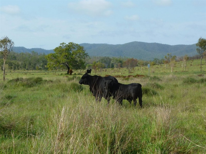 136 McLean Road, Midgee QLD 4702