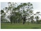 Lot 16 Nine Mile Road, Alton Downs QLD 4702
