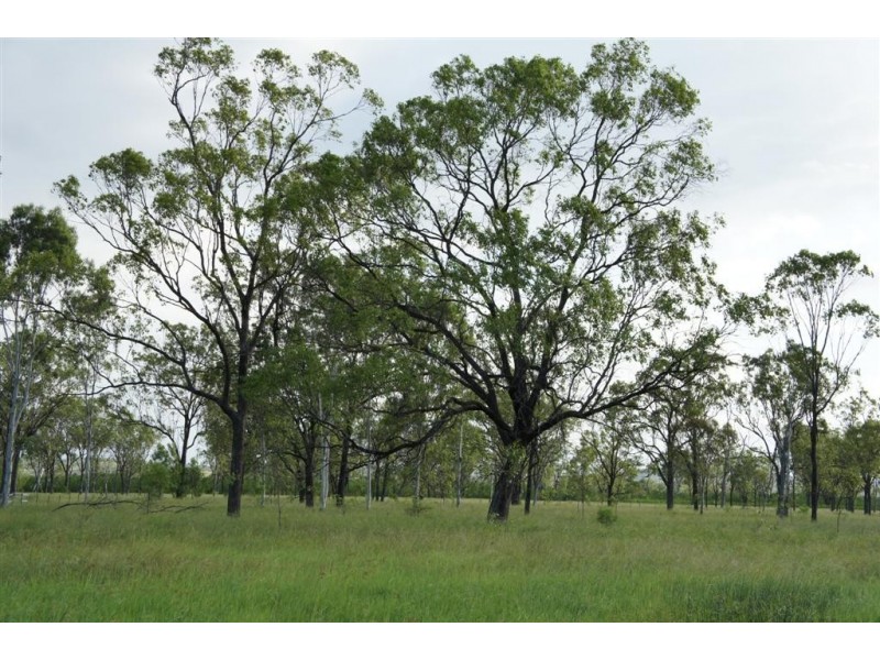 Lot 16 Nine Mile Road, Alton Downs QLD 4702