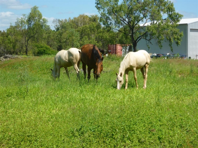 152 Macquarie Street, Gracemere QLD 4702