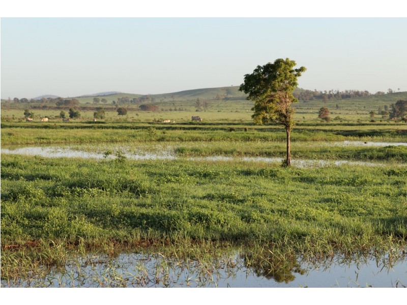 419 Bishop Road, Garnant QLD 4702