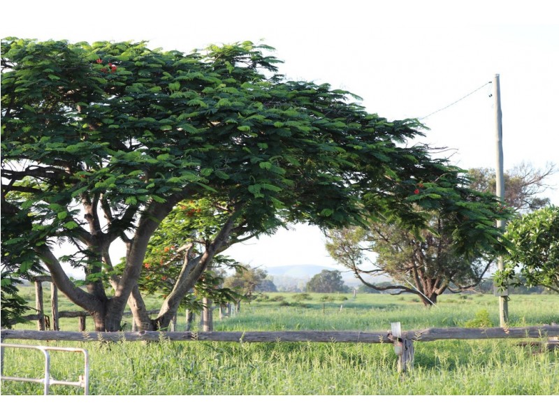 419 Bishop Road, Garnant QLD 4702