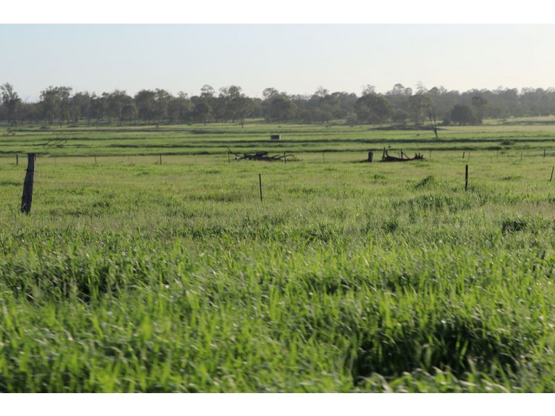 419 Bishop Road, Garnant QLD 4702