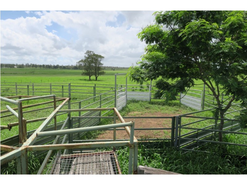 419 Bishop Road, Garnant QLD 4702