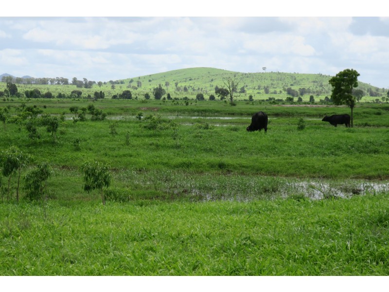 419 Bishop Road, Garnant QLD 4702