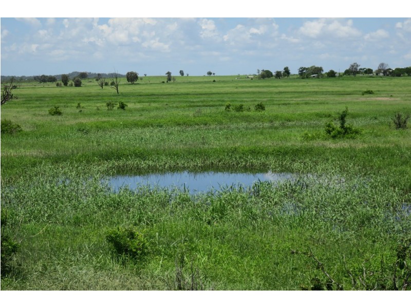 419 Bishop Road, Garnant QLD 4702