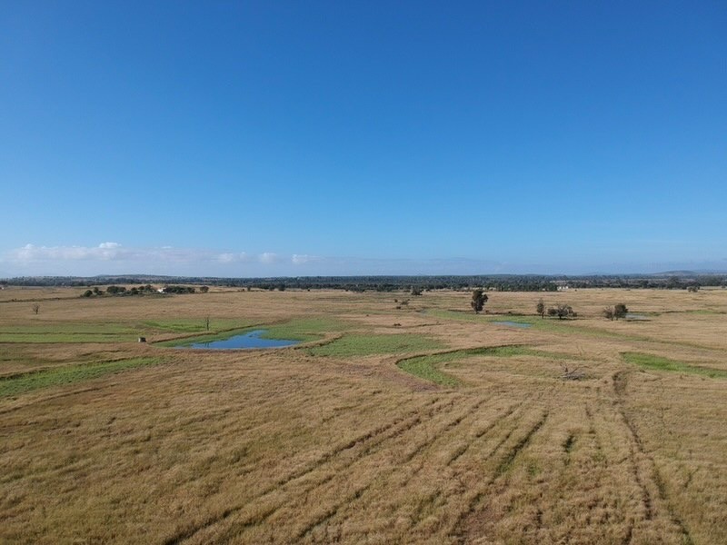 419 Bishop Road, Garnant QLD 4702