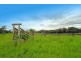 “Linden Hills” Faraday Road, Ridgelands QLD 4702