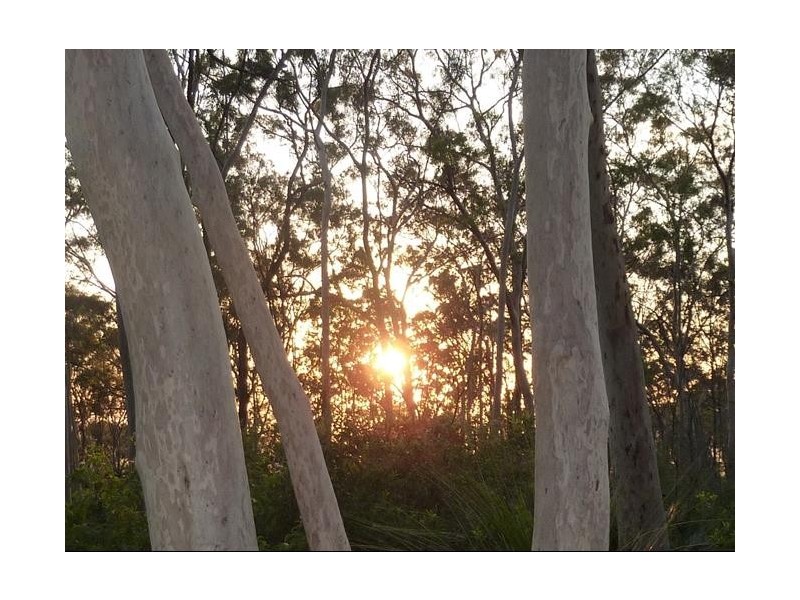 346 Archer Road, Struck Oil QLD 4714