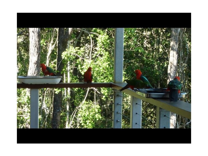 346 Archer Road, Struck Oil QLD 4714