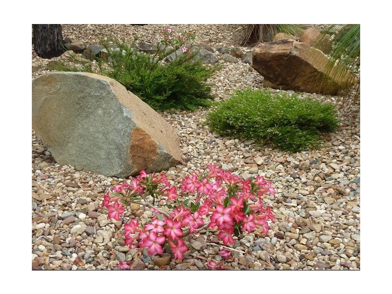 346 Archer Road, Struck Oil QLD 4714