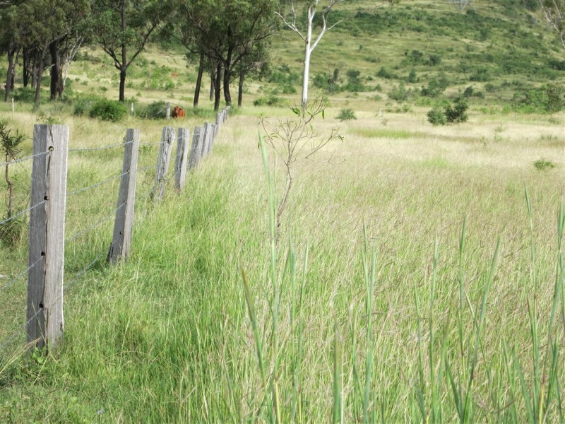 “Glencoe” Atkinson Road, The Caves QLD 4702