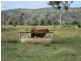 “Glencoe” Atkinson Road, The Caves QLD 4702