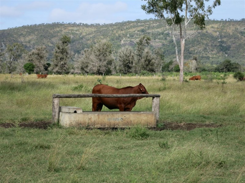 “Glencoe” Atkinson Road, The Caves QLD 4702