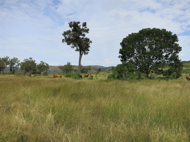 “Glencoe” Atkinson Road, The Caves QLD 4702