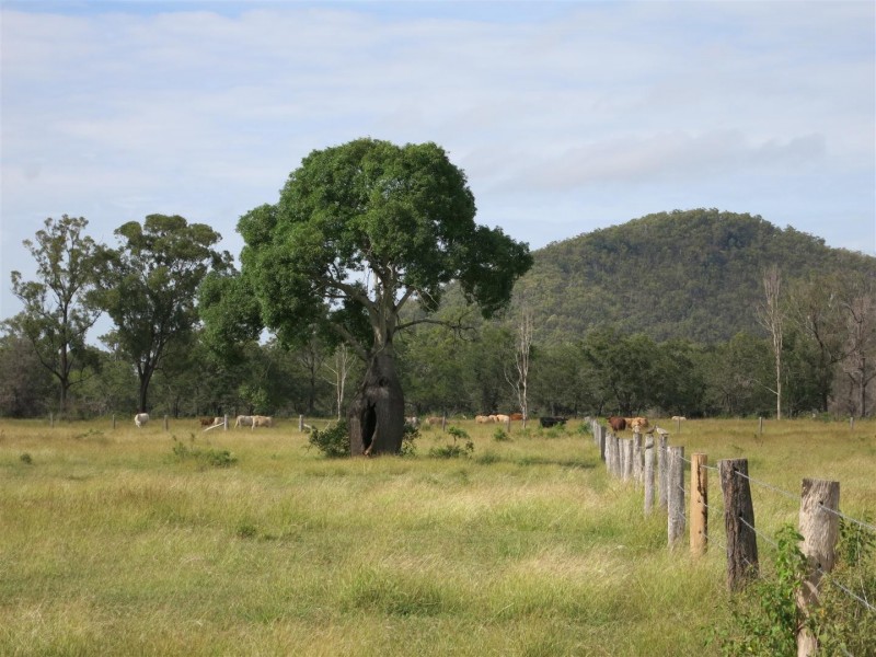 “Glencoe” Atkinson Road, The Caves QLD 4702