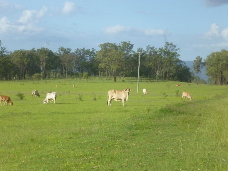 913 “Radleigh” Mt Hector Road, Boyne Valley QLD 4680