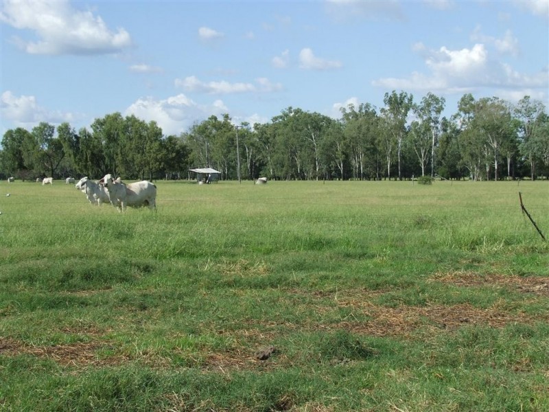 Wowan QLD 4702