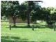 Wowan QLD 4702