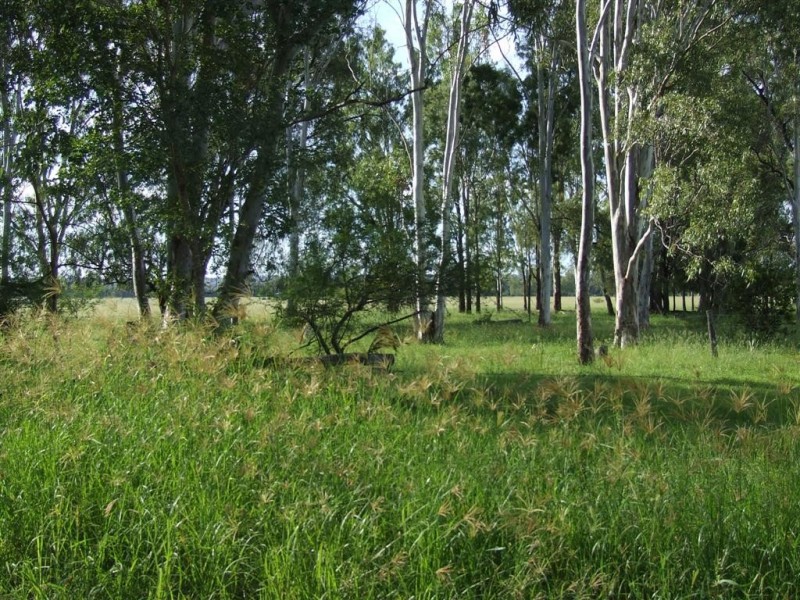 Wowan QLD 4702