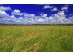 399 Alton Downs – Nine Mile Road, Alton Downs QLD 4702