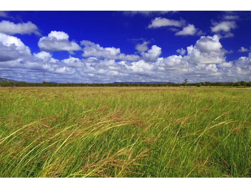 399 Alton Downs – Nine Mile Road, Alton Downs QLD 4702
