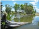 226 “Koorilgah” Woodford Road, Alton Downs QLD 4702