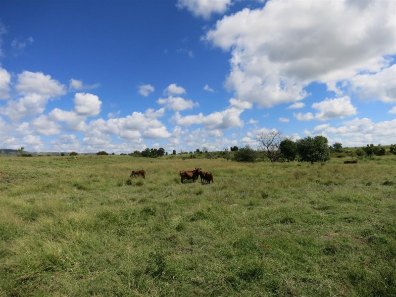 521 Granleigh-Pheasant Creek Rd, Wowan QLD 4702