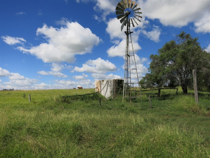 521 Granleigh-Pheasant Creek Rd, Wowan QLD 4702