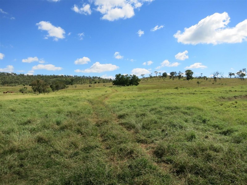 521 Granleigh-Pheasant Creek Rd, Wowan QLD 4702