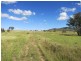 521 Granleigh-Pheasant Creek Rd, Wowan QLD 4702
